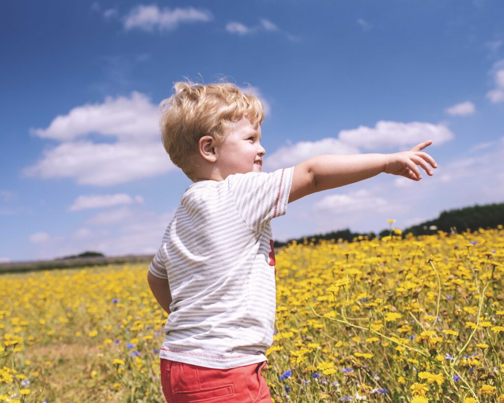 Little boy pointing in yellow field