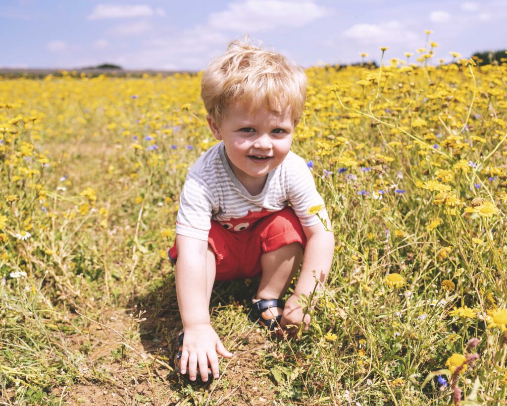 Little boy in yellow field
