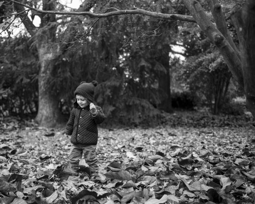 Boy kicking leaves